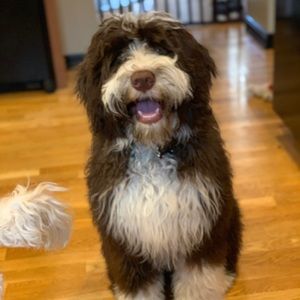 Meet your Posher, Robyn